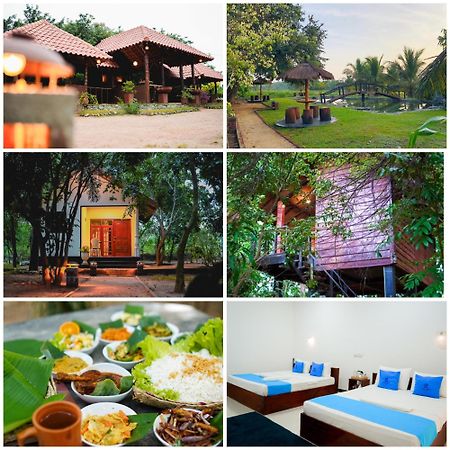 Ceylon Amigos Eco Resort Sigiriya Exteriér fotografie