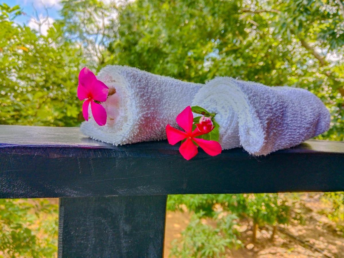 Ceylon Amigos Eco Resort Sigiriya Exteriér fotografie