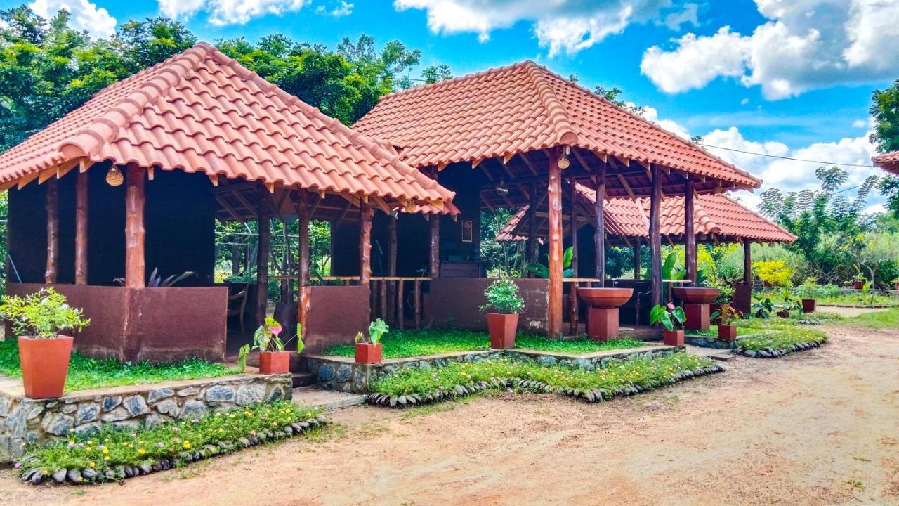 Ceylon Amigos Eco Resort Sigiriya Exteriér fotografie
