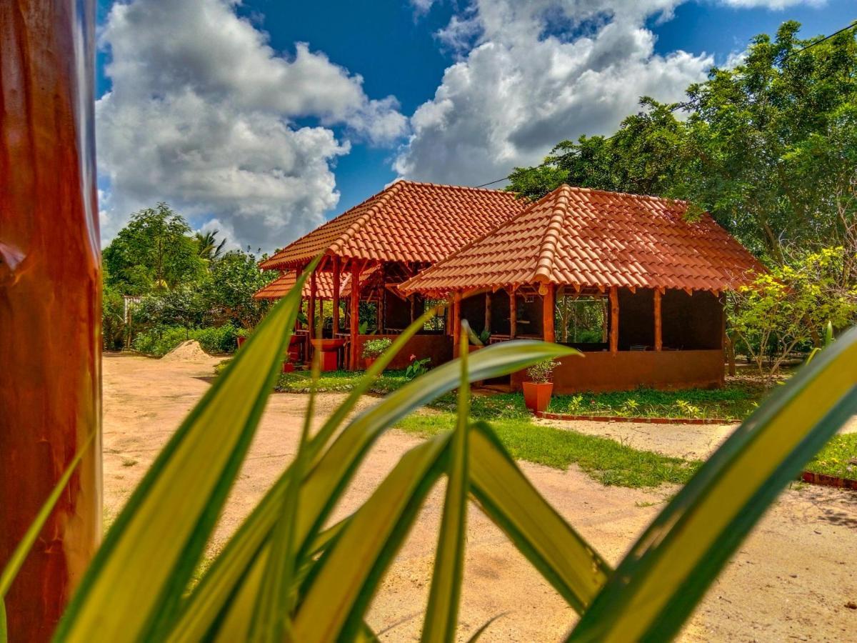 Ceylon Amigos Eco Resort Sigiriya Exteriér fotografie