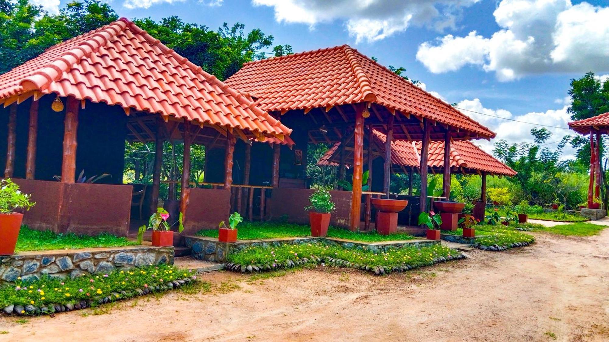 Ceylon Amigos Eco Resort Sigiriya Exteriér fotografie