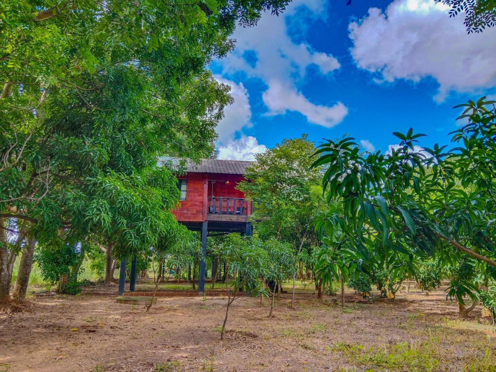 Ceylon Amigos Eco Resort Sigiriya Exteriér fotografie