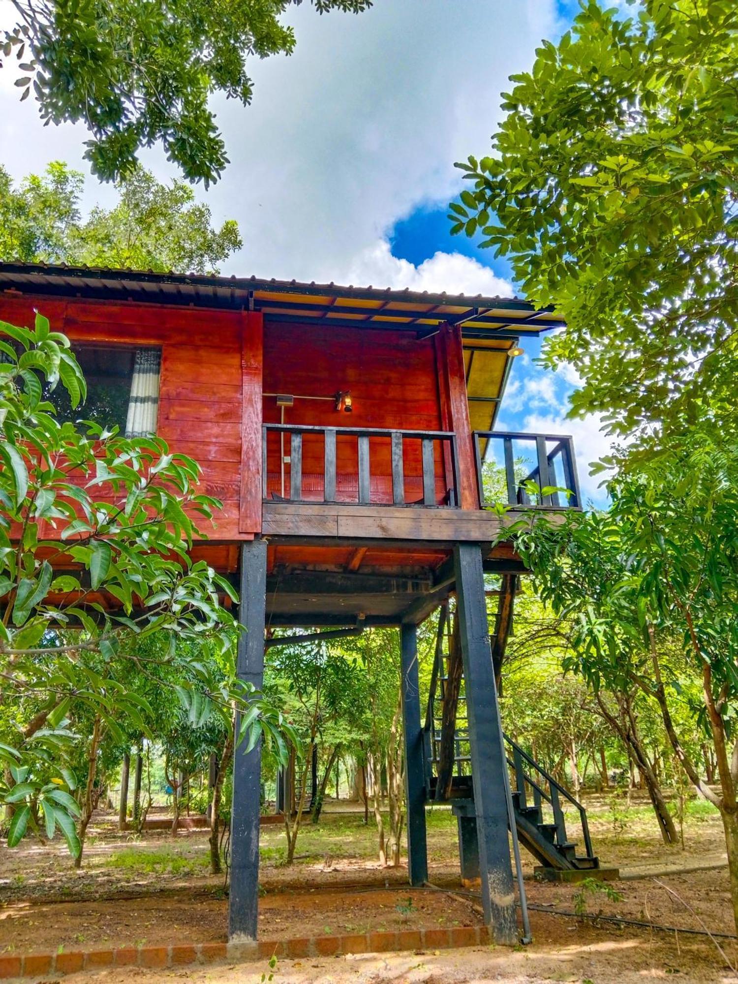 Ceylon Amigos Eco Resort Sigiriya Exteriér fotografie
