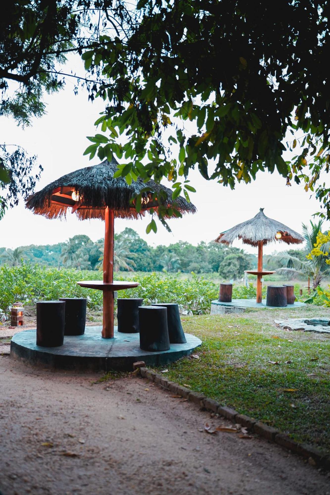 Ceylon Amigos Eco Resort Sigiriya Exteriér fotografie